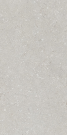 Shellstone Bianco 120х60