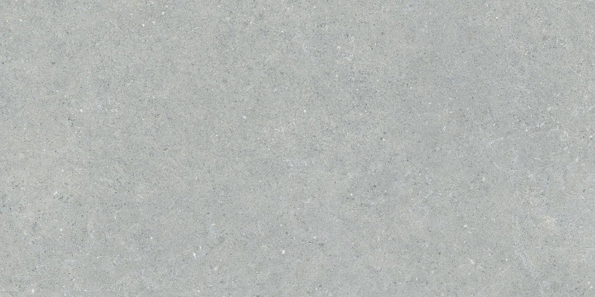 Coral Grigio Chiaro 120х60