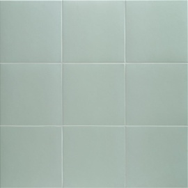 Technical Aloe 20х20