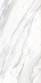 Calcatta Belgia 120х60