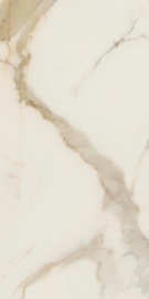 Anima Futura Golden White Rt 120х60