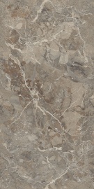 Breccia Boreale Brown Infinia Polished 120х60