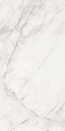 AE CAL6 12 LP 120х60