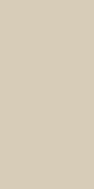 Exotic Crema 120х60