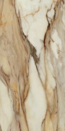 Eternal Gold Pol Rect 120х60