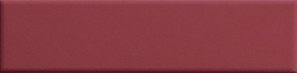 Biscuit Plain Bordeaux 20х5