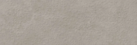 Portwall Rlv Bloom Greige Rect. 33,3x100