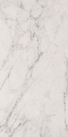 ROMA STONE CARRARA DELICATO MATT R9 120х60