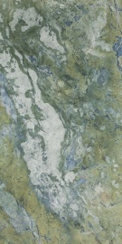 Paradise Rain Forest Green Polished Rec. 120х60