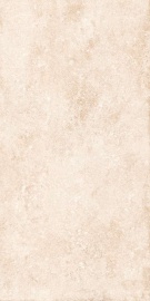 532 VERBIER LIGHT х60