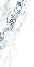 Element Calacutta 120х60