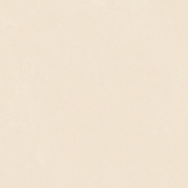 Nok Ivory 120x120