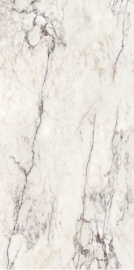 Breccia Capraia Nat Ret 120х60