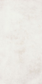 Terra Divina Bianco 120х60