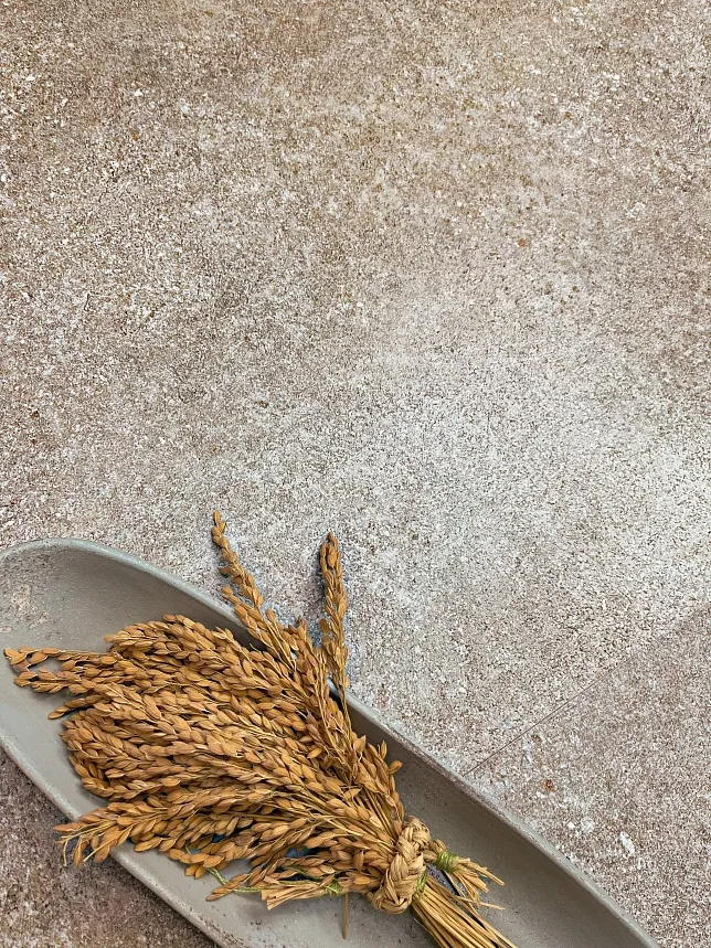 Plaza Taupe Matt Rect. 120х60