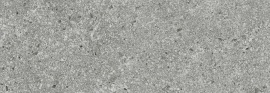 Lunario Silver 70х24.2