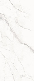 Calacatta honed 278х120