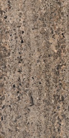 Basamento Terra Matte 120х60