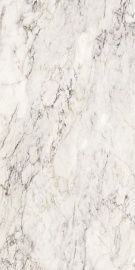 Breccia Capraia Lap Ret 120х60