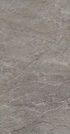 Quarzite Burnt 120х60