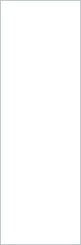 Solo Bianco 5.6 100х300