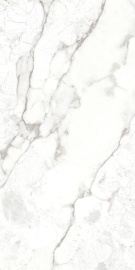 Breccia Bianco  120х60
