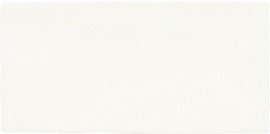 APE Vintage WHITE 15х7.5