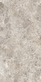 Breccia Paradiso Grey Touch 120х60