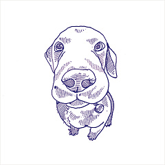 Stories Eddiy (50 faces) Matt 10x10