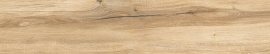 Daring Honey 120х24