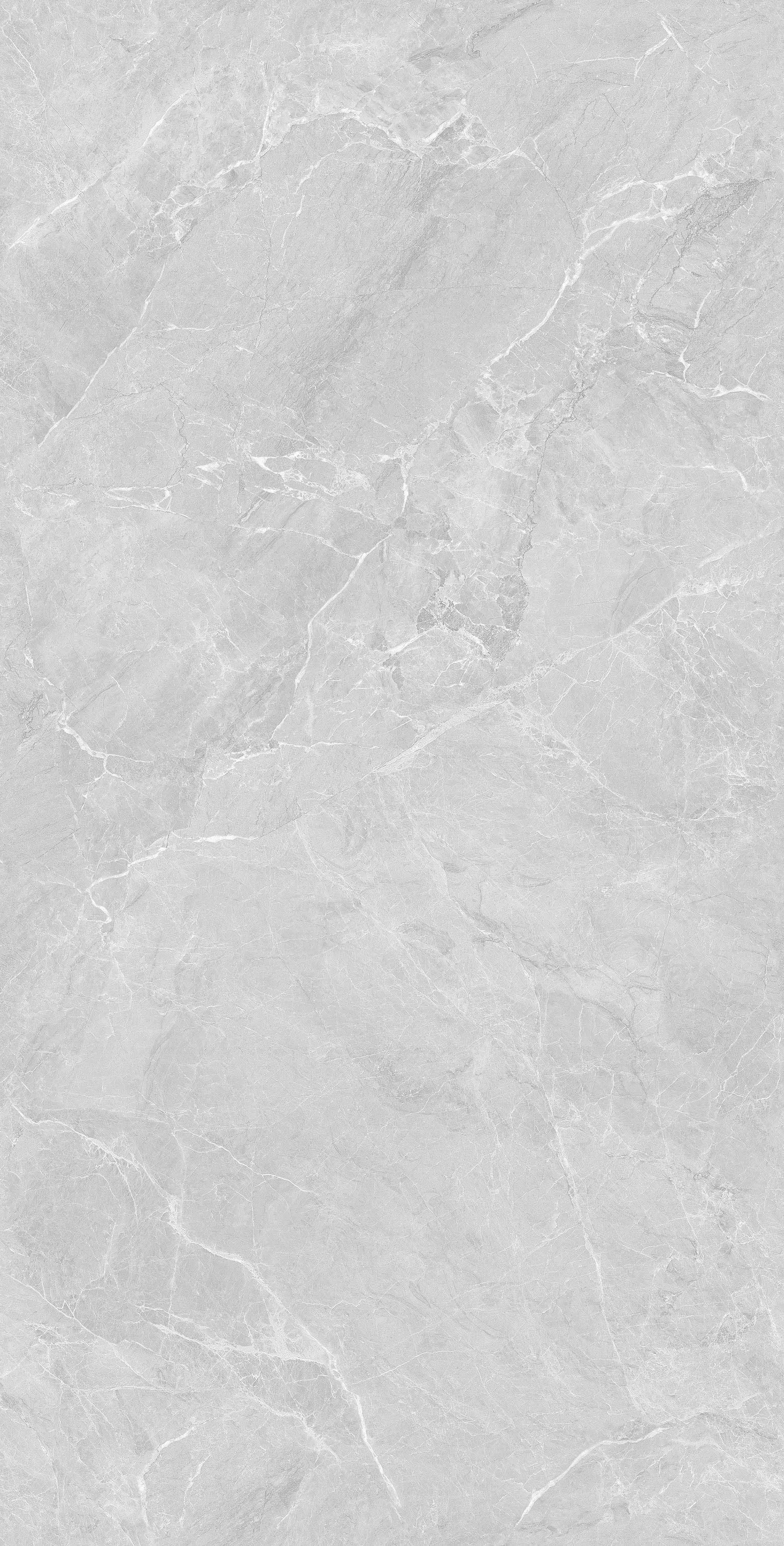 Lithos Light Grey Sugar Polished 120х60