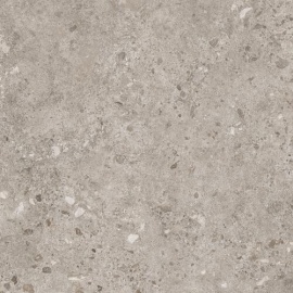 BIERZO GRIS SEDA 120х120