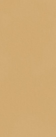 True Color Caramel Matt 120х50