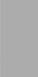 Exotic Light Grey 120х60