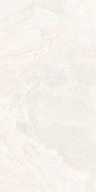Bodrum Bone Matt Technical Porcelain 120х60