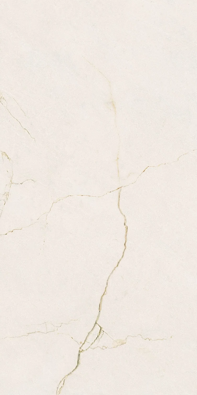 Velhira White Pol Rect. 120х60