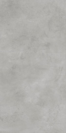 Ess. Bercy Grigio 120х60