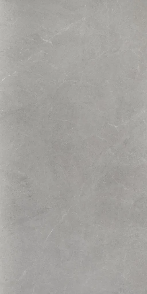 Vonn Grey Ductile 59,8x119,8