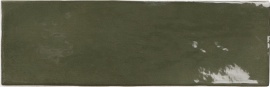Seville Green 20х6,5