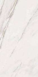 Calacatta Superwhite Satin 120х60