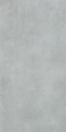 Terra Divina Grigio 120х60
