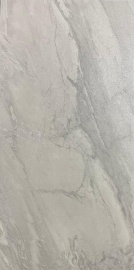 Forzesko Gray Light Semi Polished 120х60