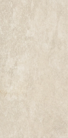 ABSOLUTE CLAY RET 120х60