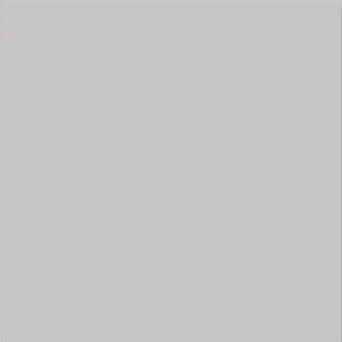 Vives Monocolor Humo 20х20