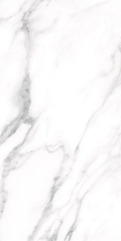 Palacio Majestic White Polished 120х60
