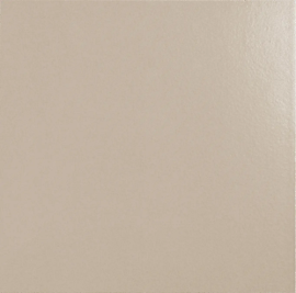 800 Italiano Fascia Riposo Liscia Grigio Seta 20х20