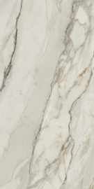 Arabescato Corchia Matt Rect 120х60