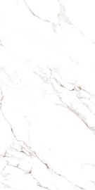 Statuario Castork 278х120