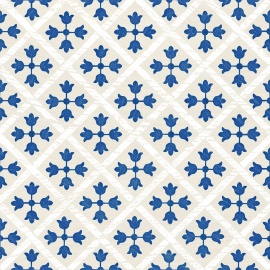 Guadalupe Blue 18,7х18,7
