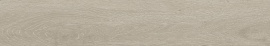Forest Argent Matt 120х20
